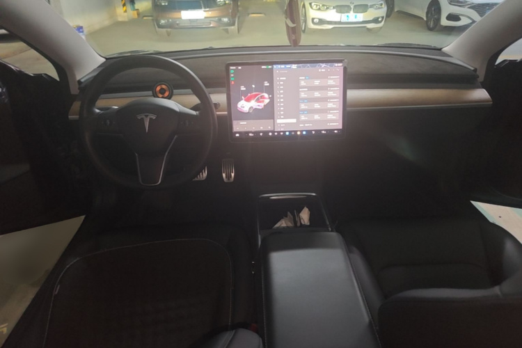 Tesla Model 3 2021 car image #10