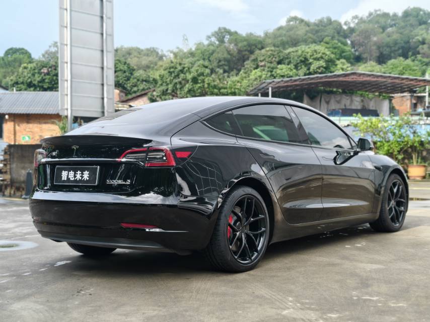 Tesla Model 3 2021 #3 Tesla Model 3 2021 car image #3