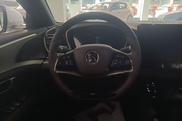 BYD Han 2022 صورة سيارة #11