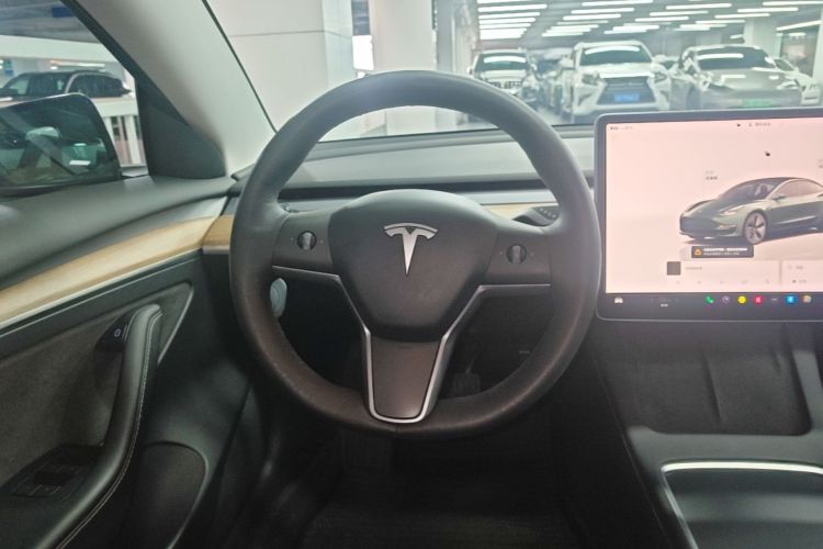 Tesla Model 3 2022 #11 Tesla Model 3 2022 car image #11