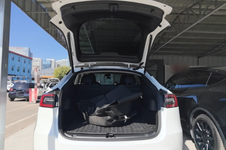 Tesla Model Y 2024 #19 Tesla Model Y 2024 image de voiture #19