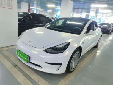 Tesla Model 3 2020 Tesla Model 3 2020 car image