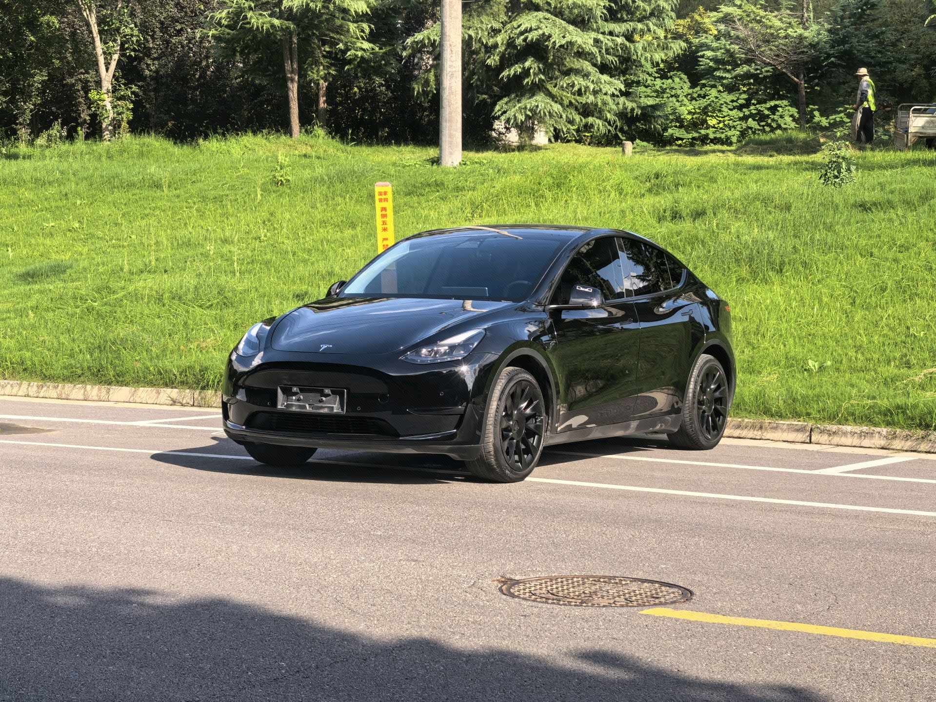 Tesla Model Y 2023 Tesla Model Y 2023 car image