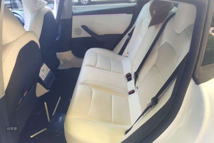 Tesla Model 3 2024 immagine di auto #19