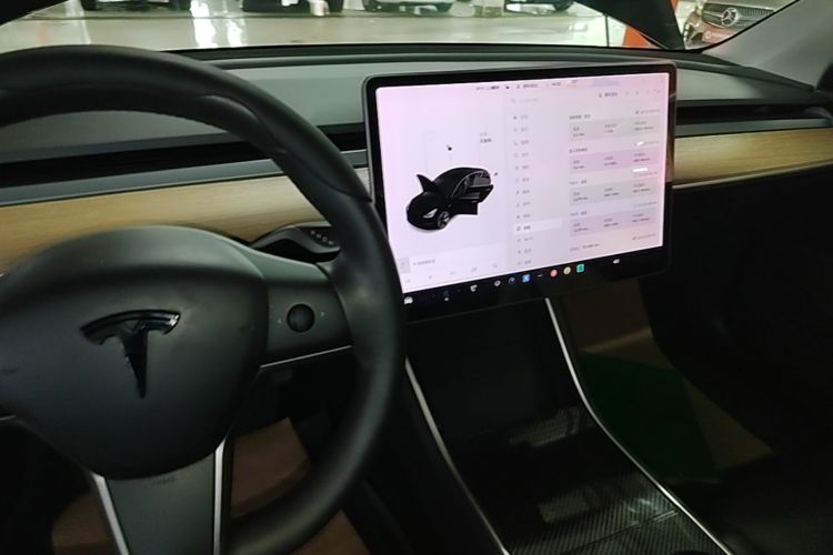 Tesla Model 3 2020 car image #14