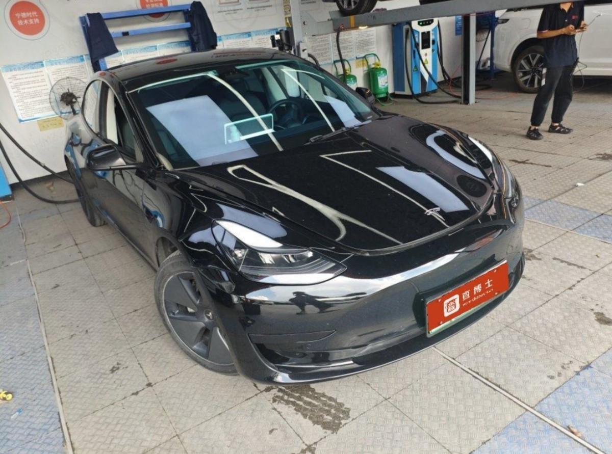 Tesla Model 3 2021 #2 Tesla Model 3 2021 car image #2