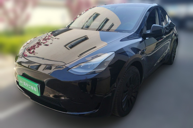 Tesla Model Y 2023 #2 Tesla Model Y 2023 car image #2