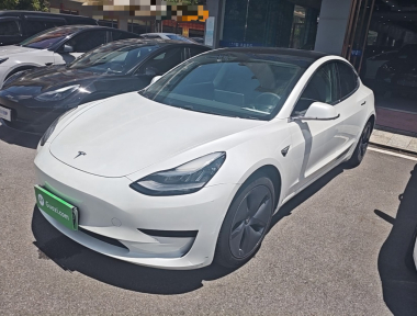 Tesla Model 3 2020 car image 