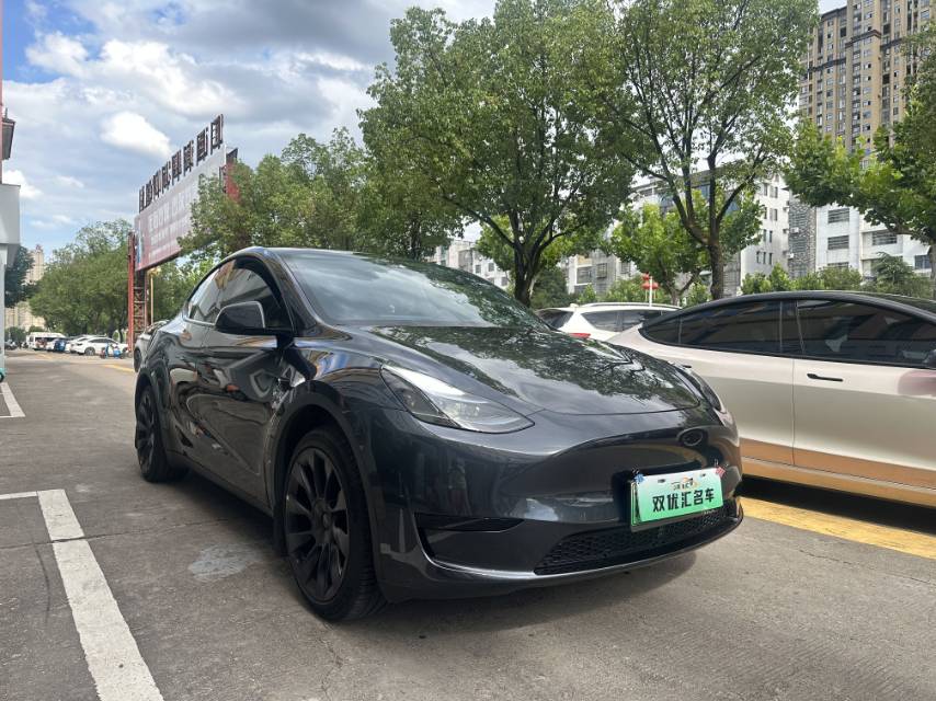 Tesla Model Y 2024 car image #3