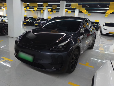 Tesla Model Y 2024 car image 