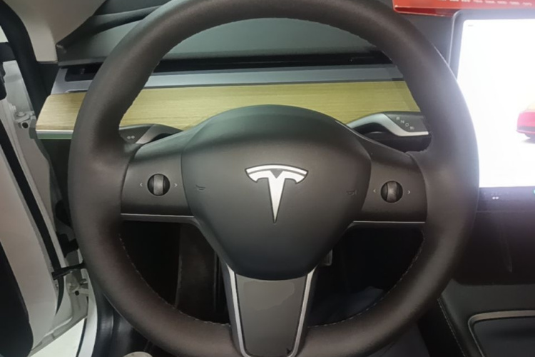 Tesla Model Y 2023 car image #15