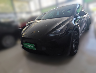 Tesla Model Y 2023 Tesla Model Y 2023 car image
