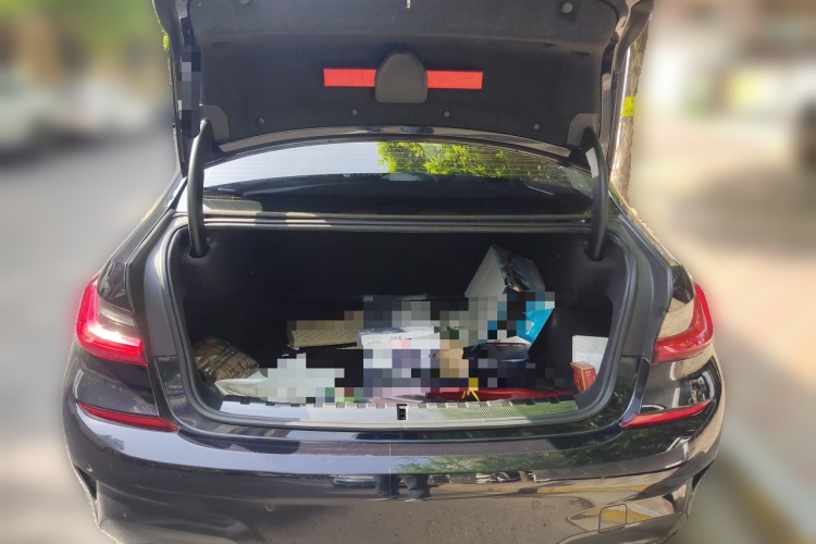 BMW 3 Series 2019 car image #21