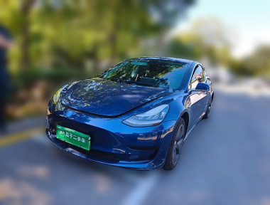 Tesla Model 3 2020 Tesla Model 3 2020 car image