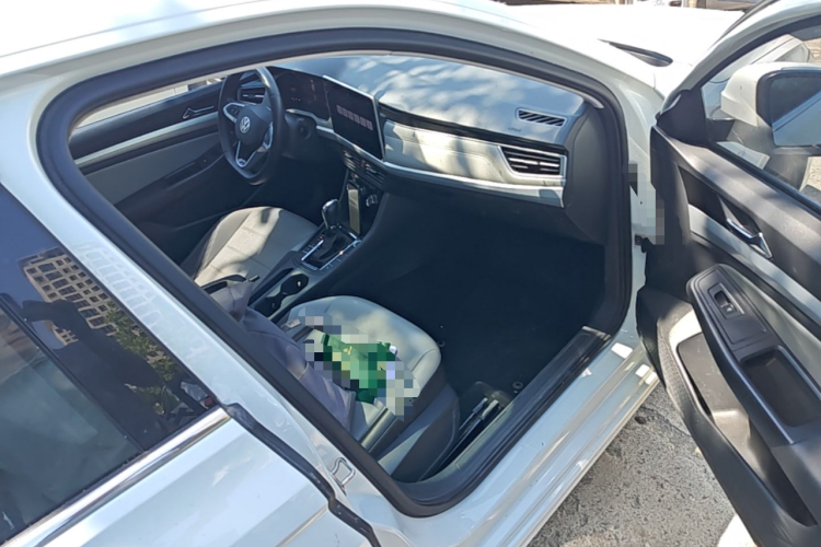 Volkswagen Bora 2024 car image #27