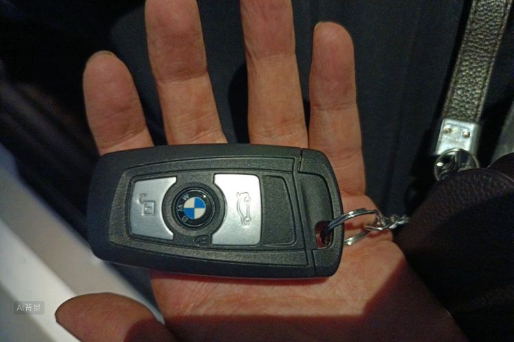 BMW 3 Series 2018 car image #10