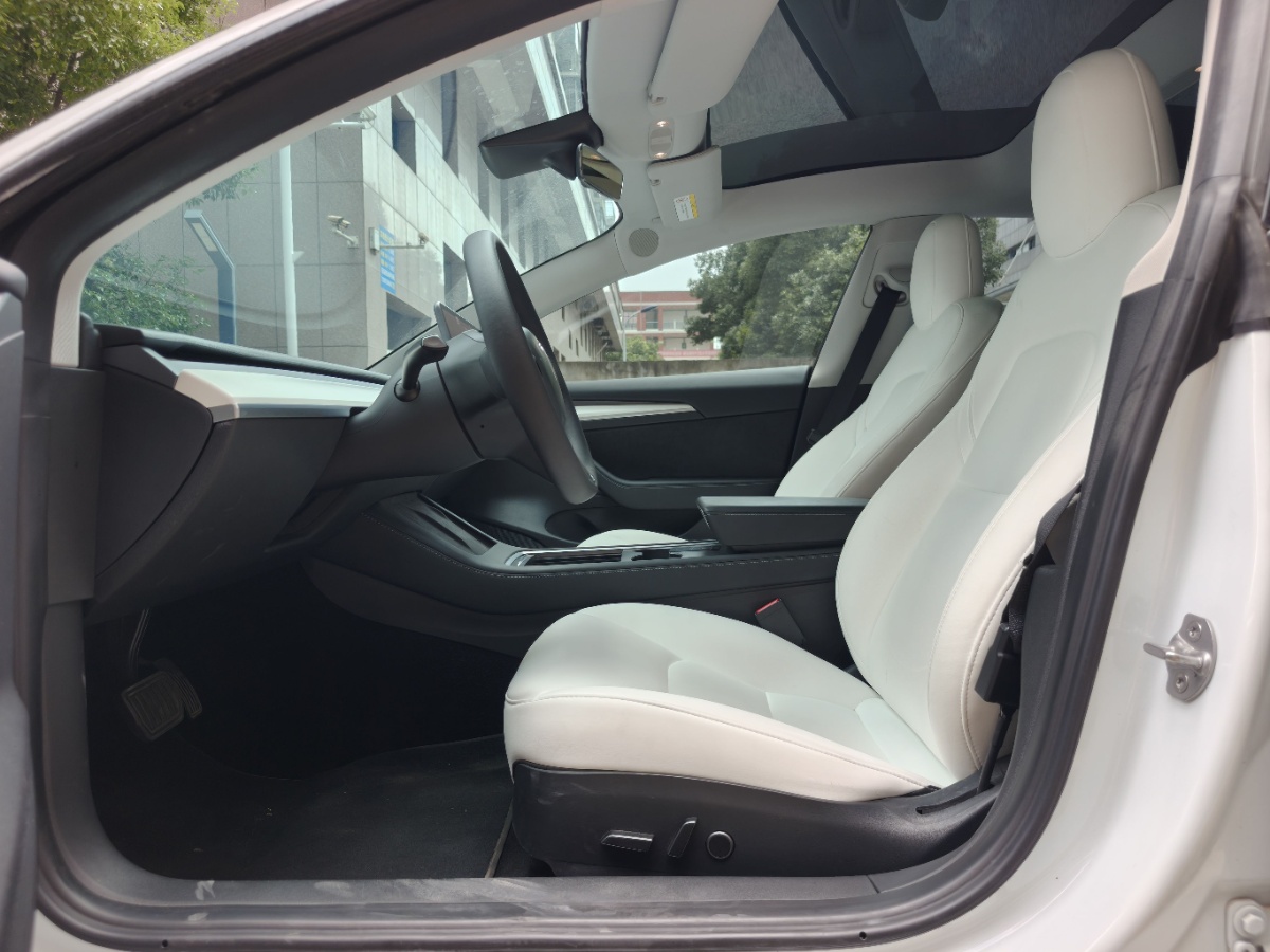 Tesla Model 3 2021 immagine di auto #4