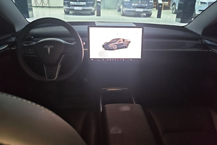 Tesla Model 3 2022 car image #11