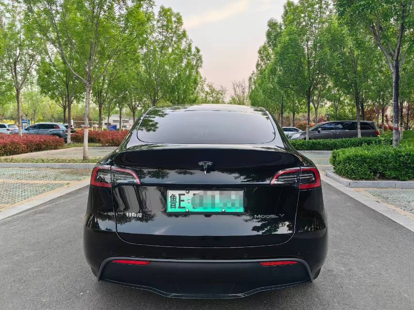 Tesla Model Y 2022 #7 Tesla Model Y 2022 car image #7