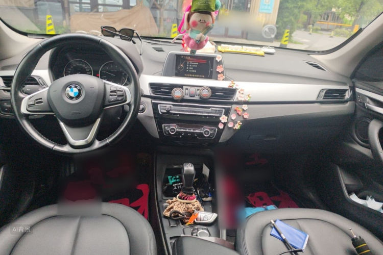 BMW X1 2017 car image #11