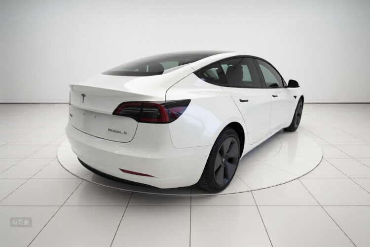Tesla Model 3 2021 #7 Tesla Model 3 2021 car image #7