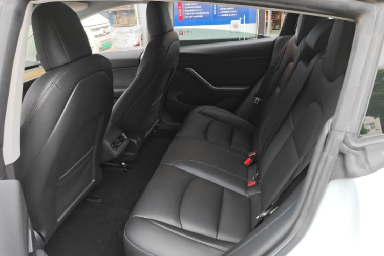 Tesla Model 3 2021 car image #17