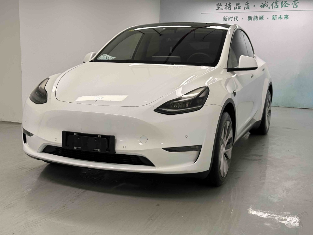 Tesla Model Y 2021 Tesla Model Y 2021 car image