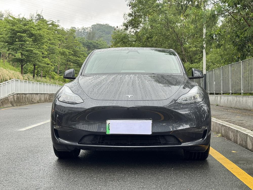 Tesla Model Y 2024 car image #2