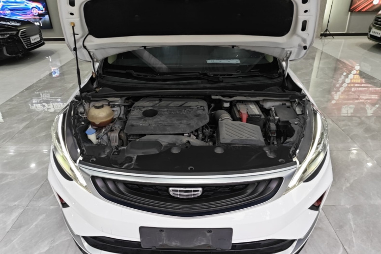GEELY Emgrand GS 2021 car image #20