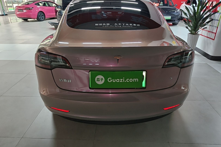 Tesla Model 3 2022 car image #4