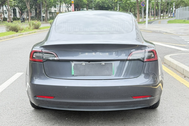 Tesla Model 3 2020 #3 Tesla Model 3 2020 car image #3