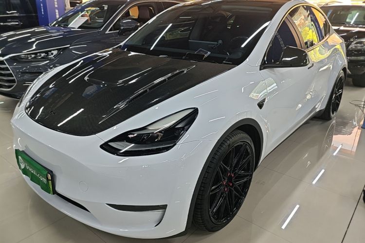 Tesla Model Y 2021 car image #2