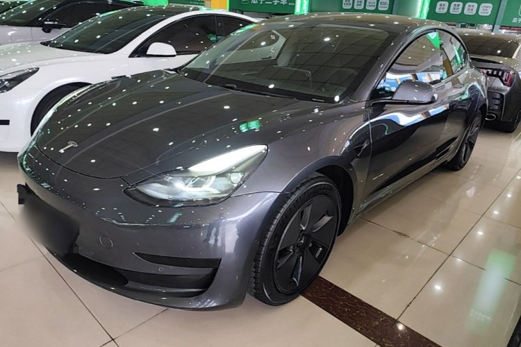 Tesla Model 3 2021 #2 Tesla Model 3 2021 car image #2