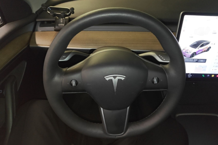 Tesla Model Y 2021 #11 Tesla Model Y 2021 car image #11