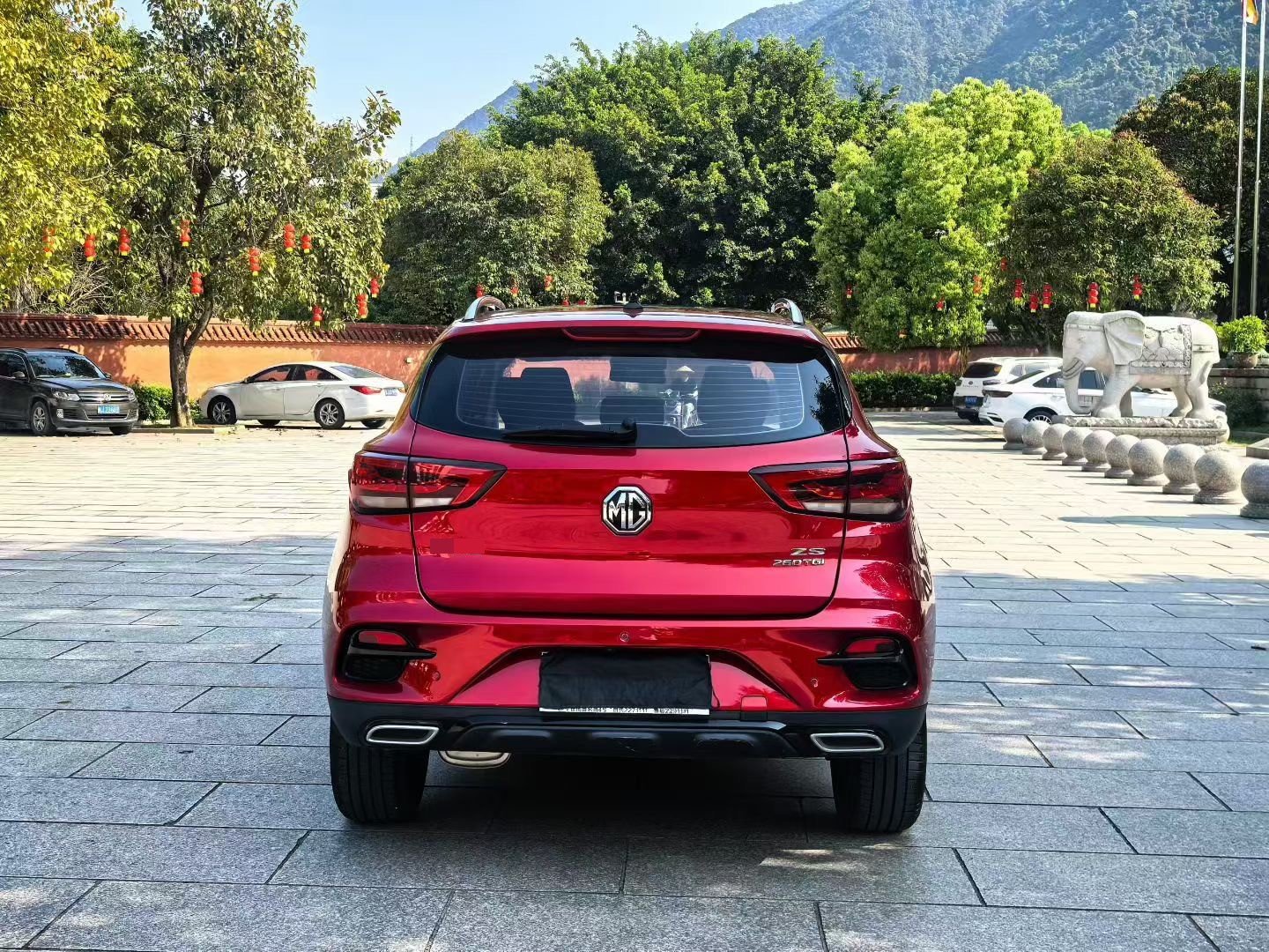 MG ZS 2019 immagine di auto #8