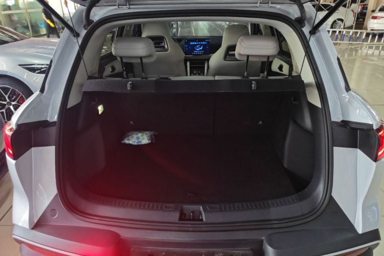BYD YuanUP 2024 #21 BYD YuanUP 2024 car image #21