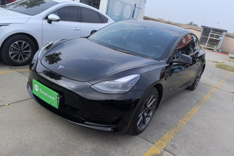 Tesla Model 3 2021 #2 Tesla Model 3 2021 car image #2