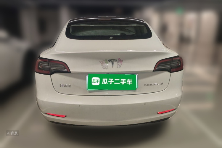 Tesla Model 3 2021 immagine di auto #6