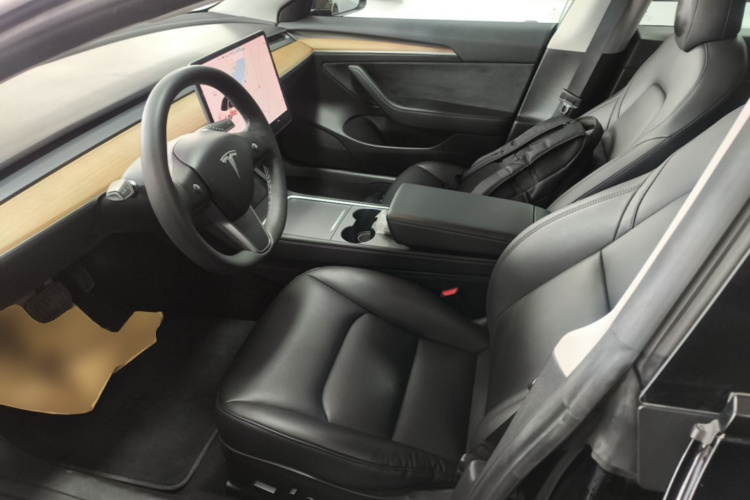 Tesla Model 3 2021 car image #19