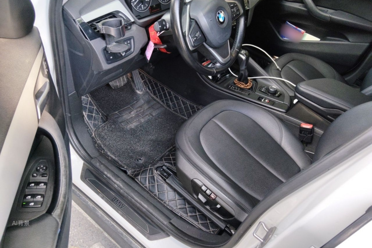 BMW X1 2018 car image #18