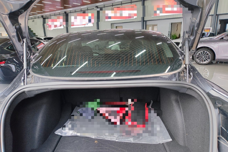 Tesla Model 3 2020 #21 Tesla Model 3 2020 car image #21