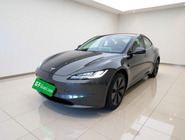 Tesla Model 3 2024 Tesla Model 3 2024 car image