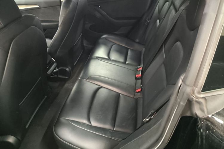 Tesla Model 3 2023 #17 Tesla Model 3 2023 car image #17