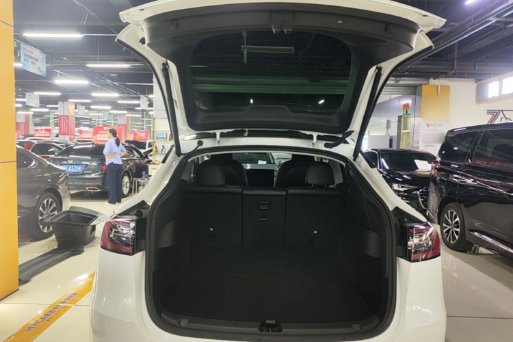 Tesla Model Y 2022 car image #19