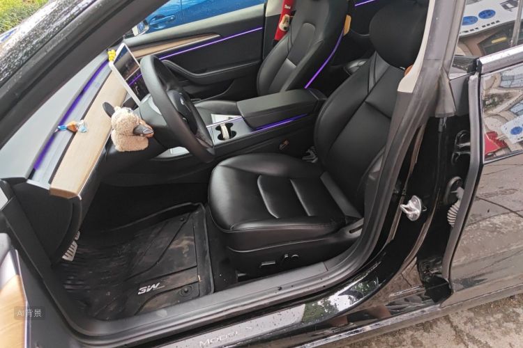 Tesla Model 3 2021 immagine di auto #17