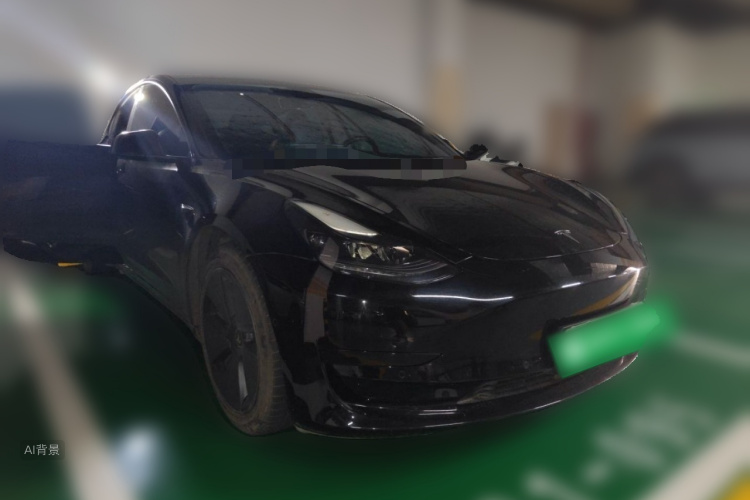 Tesla Model 3 2021 immagine di auto #4