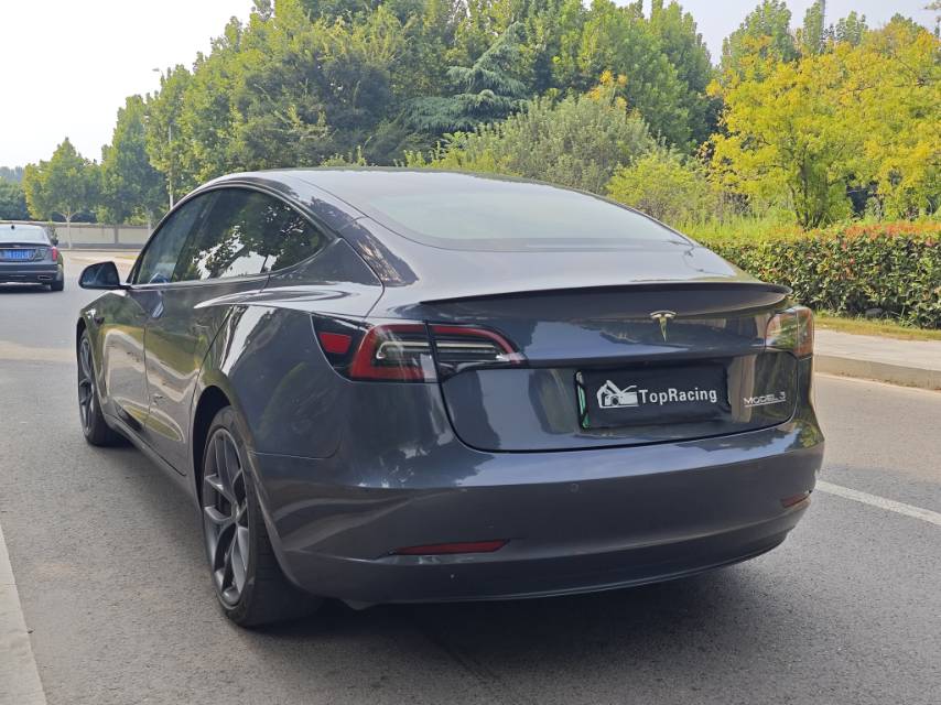 Tesla Model 3 2021 #7 Tesla Model 3 2021 car image #7