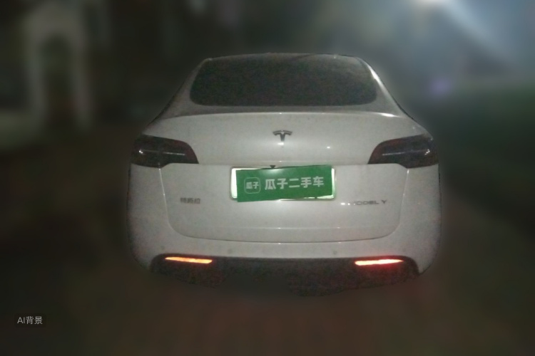 Tesla Model Y 2023 car image #6
