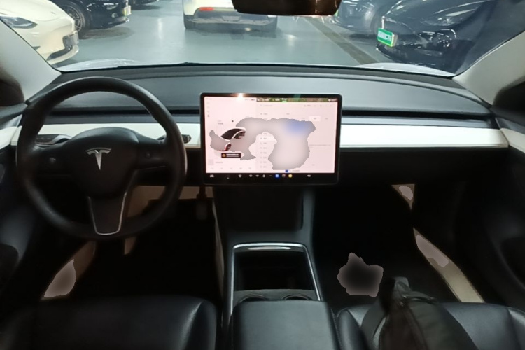 Tesla Model 3 2022 car image #10