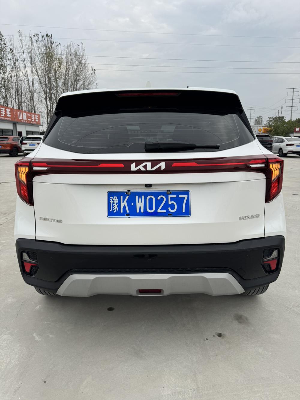 Kia Seltos 2024 immagine di auto #6